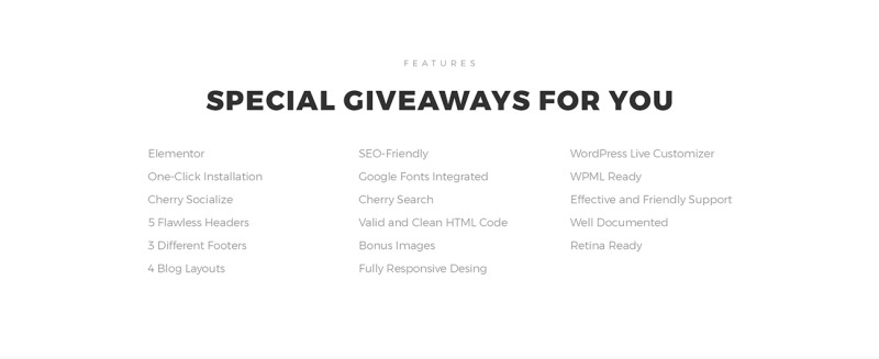 Hair Stylist WordPress Theme - Features Image 7