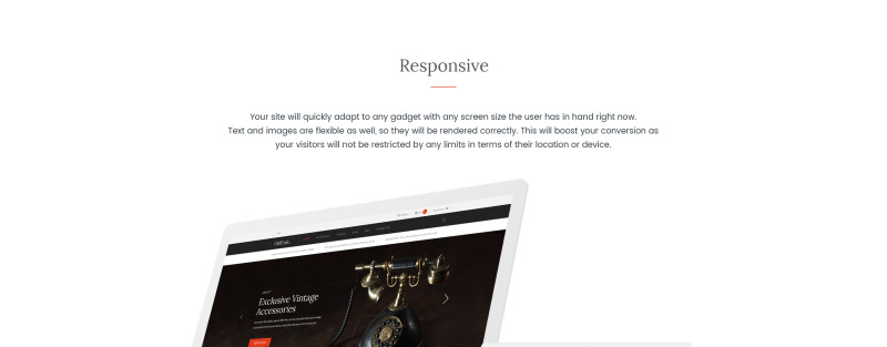 OldUnit. - Antique Store Shopify Theme - Features Image 1