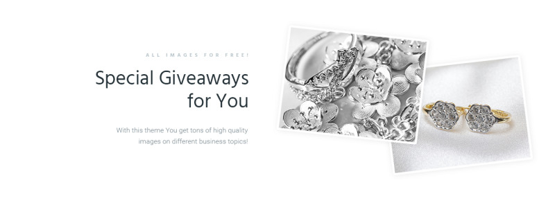 Diamanzza - Jewelry Store WooCommerce Theme - Features Image 6