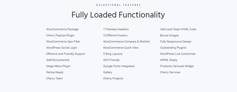 Diamanzza - Jewelry Store WooCommerce Theme - Features Image 8