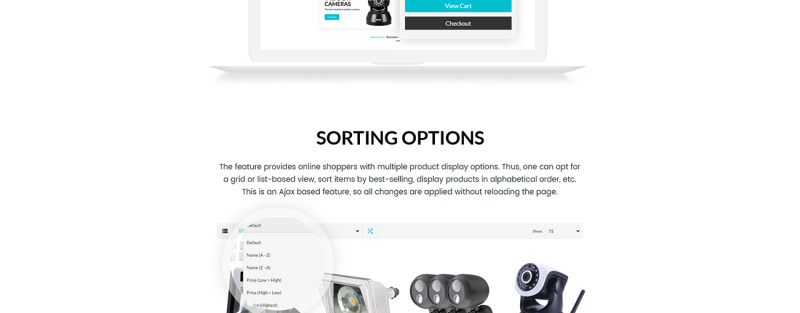ASCEEDON - Security Products OpenCart Template - Features Image 5