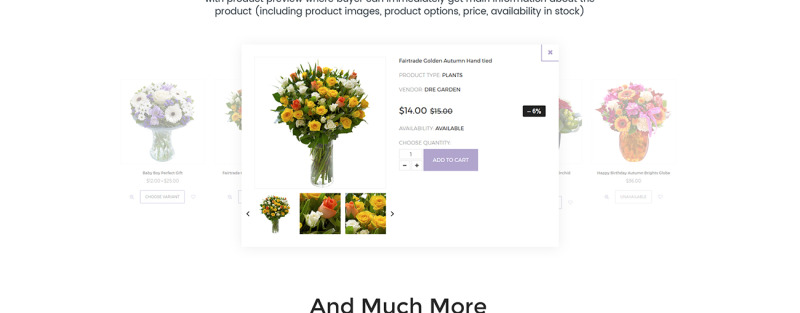 The Florist - Flower Shop 响应式Shopify模板 #67531——特色图像 9