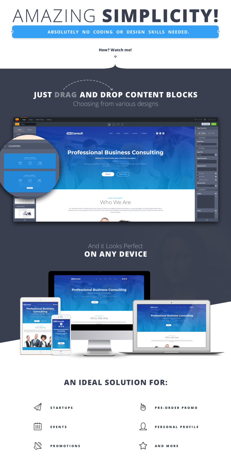 Pro Consult - Business MotoCMS 3 Landing Page Template - Features Image 1