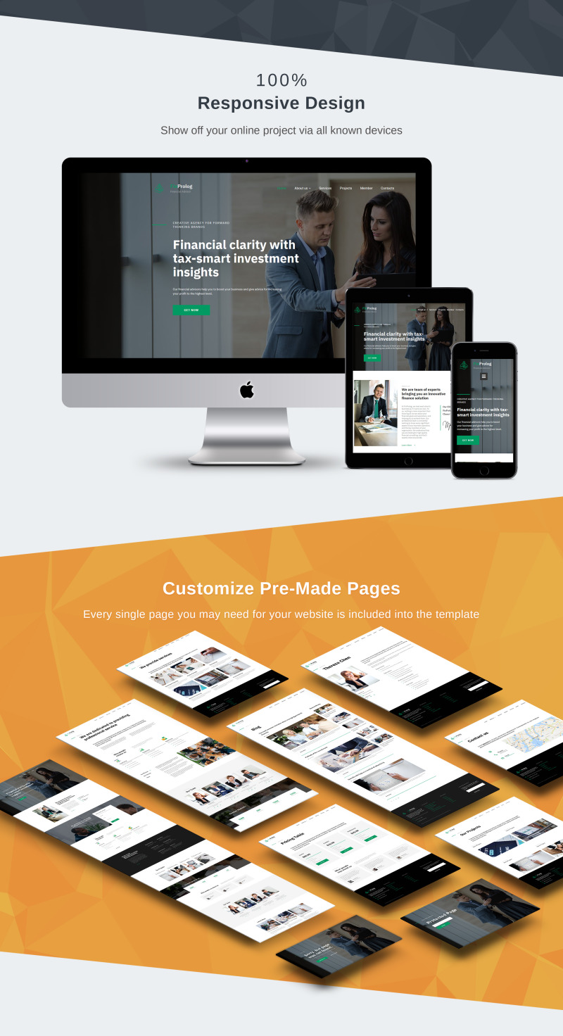 Financial Advisor Premium modèle Moto CMS 3 adaptatif #68206 - Image 3