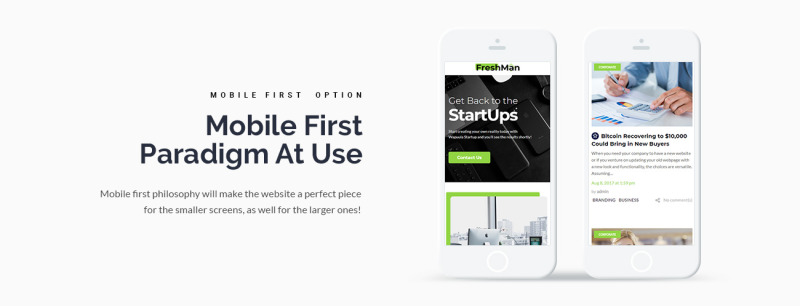 Freshmen - Startup Company WordPress Elementor Theme - Features Image 4