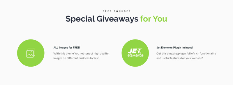 Freshmen - Startup Company WordPress Elementor Theme - Features Image 5
