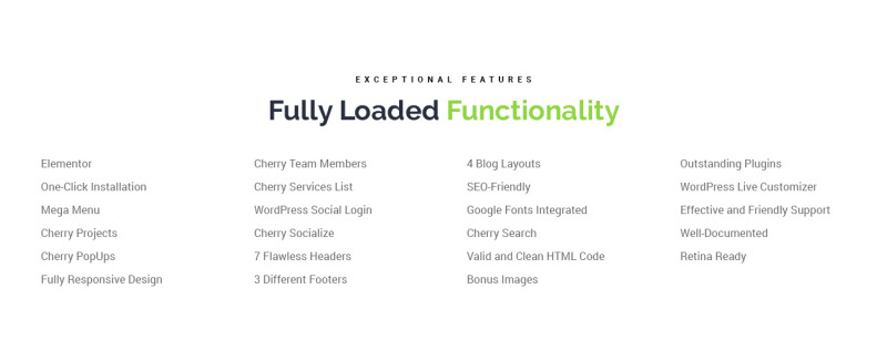 Freshmen - Startup Company WordPress Elementor Theme - Features Image 7