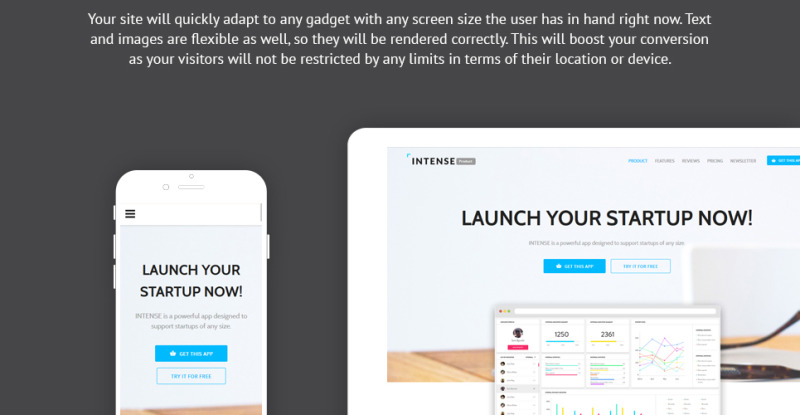 Intense - Startup Company Mobile App with Built-In Novi Builder Responsive Landingspagina Template №68446 - Eigenschappen Afbeelding 2