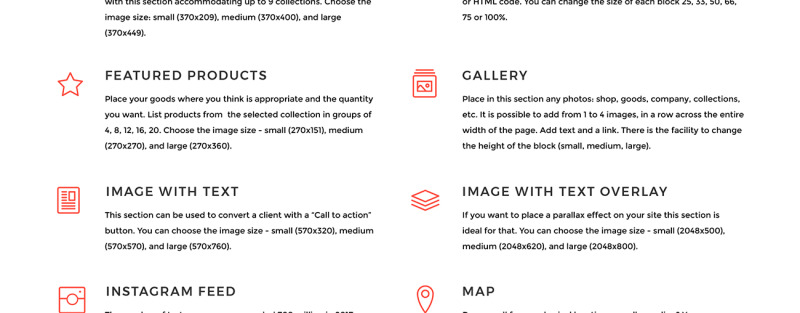 SNKR - Sneakers Store Tema de Shopify №68549 - Features Image 7