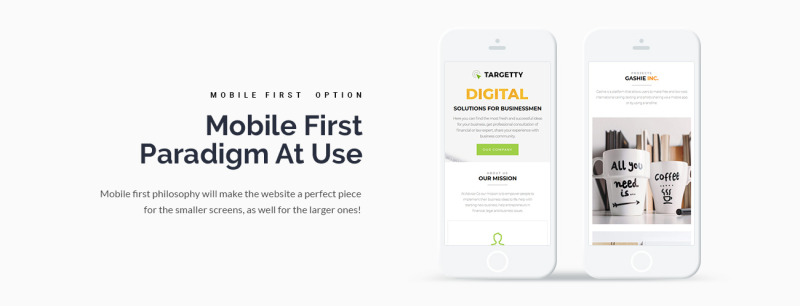 Targetty - Fancy Advertising Agency WordPress Elementor Theme - Features Image 4