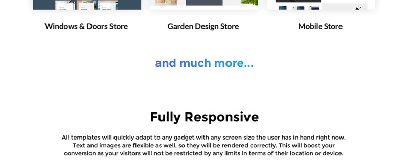 Responsive Ultimate - 30 Shopify Themes Bundle #69905 - 5 Görüntü Özellikleri