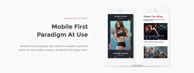 Cross Zone - Crossfit Studio WordPress Elementor Theme - Features Image 4