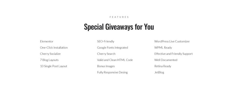 Photto - Photographer Blog WordPress Elementor Theme - Features Image 8