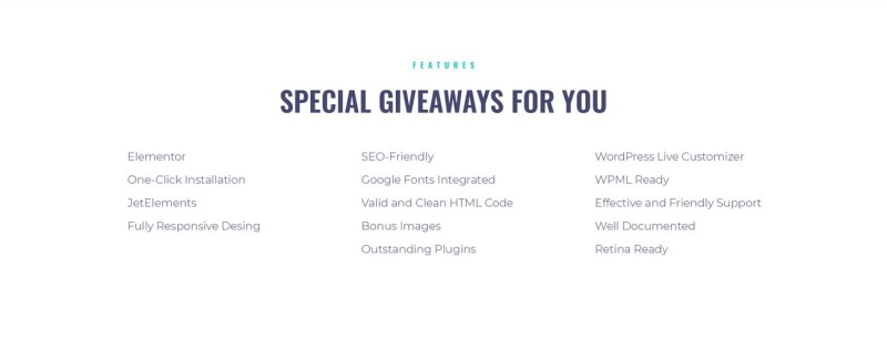 Biznory - Business WordPress Elementor Theme - Obraz funkcji 7