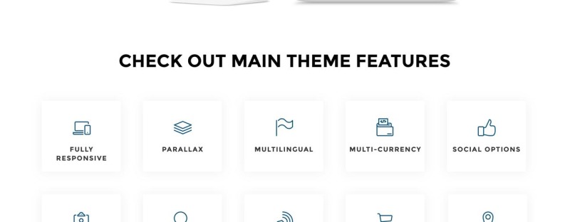 Sneakers Here - Sneakers Store Shopify Theme - Features Image 2