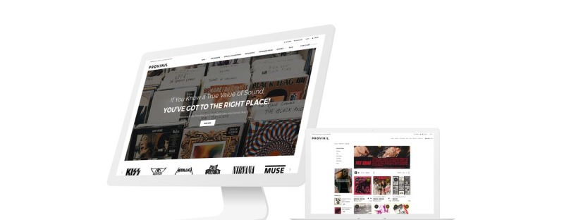 Provinil - Vinyl Store Shopify Theme - Features Image 1