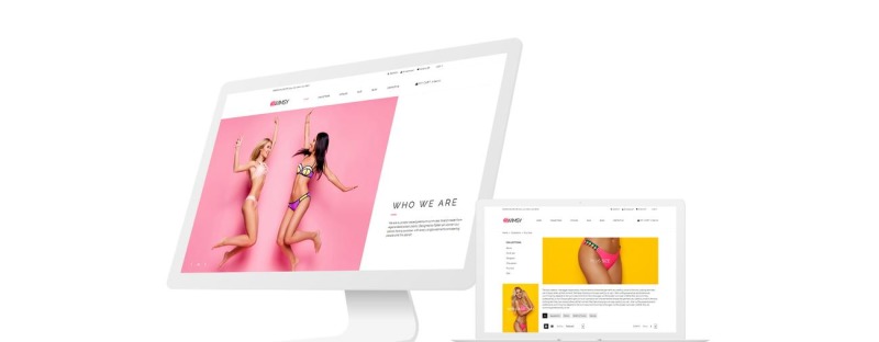 SWIMSY - Swimwear Stylish Shopify Theme - Features Image 1