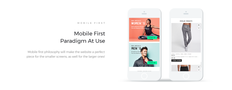 Strem - Sports Store ECommerce Minimal Elementor WooCommerce Theme - Features Image 5
