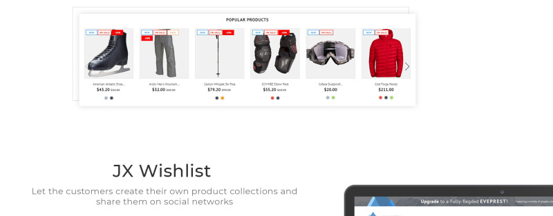 Sportek - Winter Sports Equipment Store Free PrestaShop Theme - Features Image 6