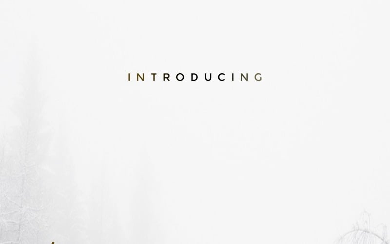 Font Rainster