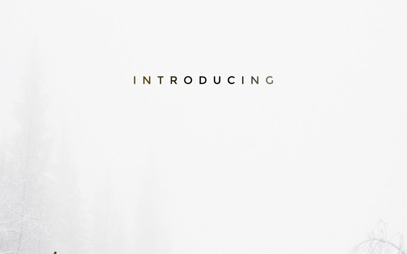 Download Шрифт "Rainster Font" / Rainster Font - Шрифт на тему графика beautiful bold brochure brush calligraphy card classic clean elegant fashion flyer font handwriting invitation light logo modern natural photography restaurant