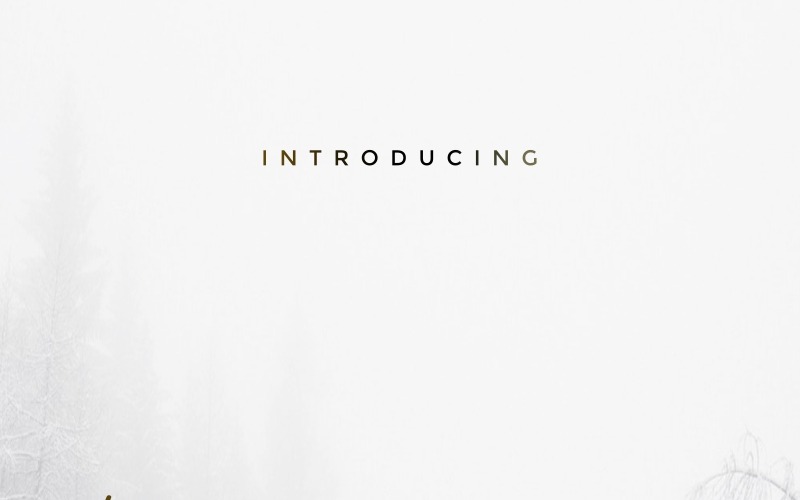 Rainster Font