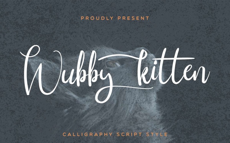 Download Шрифт "Wubby Kitten Font" / Wubby Kitten Font - Шрифт на тему графика beautiful,bold,brochure,brush,calligraphy,card,classic,elegant,exclusive,fashion,flyer,font,handwriting,invitation,lettering,light,logo,modern,natural,photography,restaurant,salon,script,shir