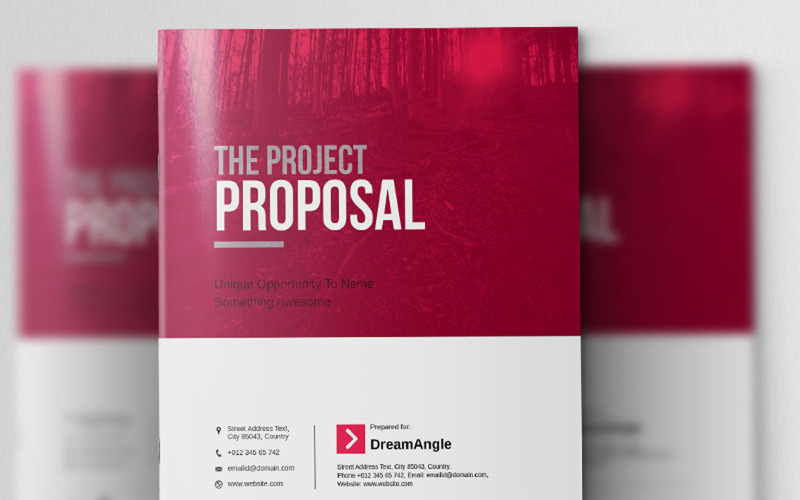 Modèle de CV de proposition de projet d'entreprise Dream Angle