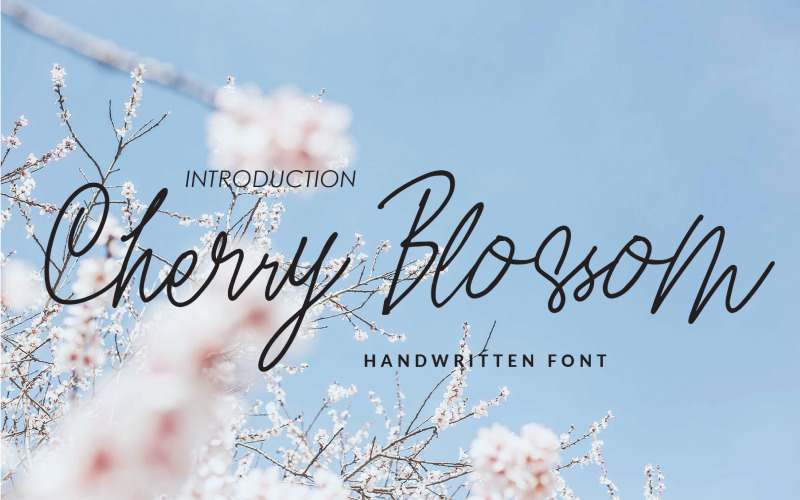 Download Шрифт "Chery Blossom Font" / Chery Blossom Font - Шрифт на тему графика handwriting,handwritten,logo,script,brush,font,brushfont,wedding,romantic,edgy,gritty,soft,sweet,trendy,branding,invitation,casual,girly,magazine,loud
