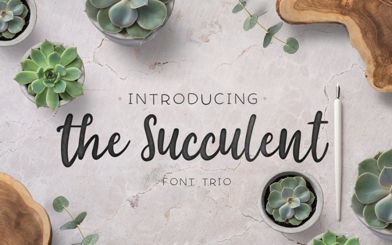 Download Шрифт "The Succulent - Trio Font" / The Succulent - Trio Font - Шрифт на тему графика cursive,elegant,feminine,bundle,handmade,script,romantic,wedding,branding,stylish,hipster,handlettered,whimsical,multilingual