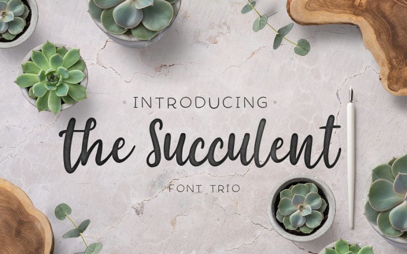 The Succulent - Trio Font