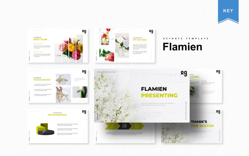 Flamien - шаблон Keynote