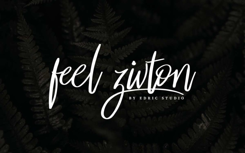 Download Шрифт "Feel Zivton Font" / Feel Zivton Font - Шрифт на тему графика beautiful,bold,brochure,brush,calligraphy,classic,clean,elegant,fashion,flyer,font,graffiti,handwriting,invitation,lettering,light,logo,modern,natural,photography