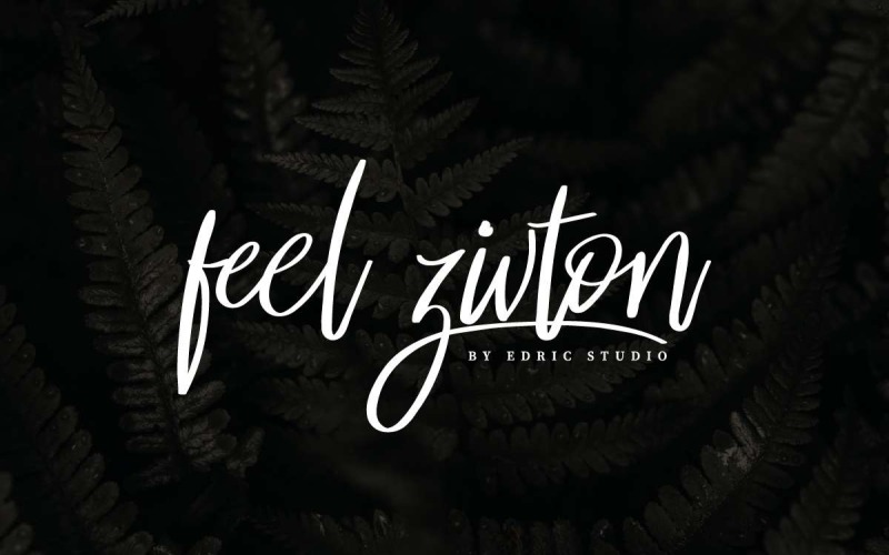 Feel Zivton字体
