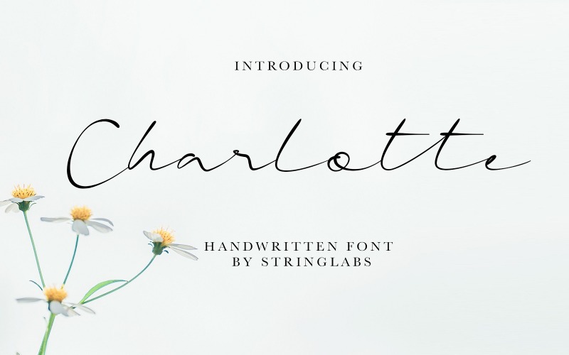 Download Шрифт "Charlotte - Casual Handwritten Font" / Charlotte - Casual Handwritten Font - Шрифт на тему графика handwritten,font,script,modern,logotype,otf,ttf,woff,letter,typography,handwritting,signature,calligraphy,handdrawn,handlettering