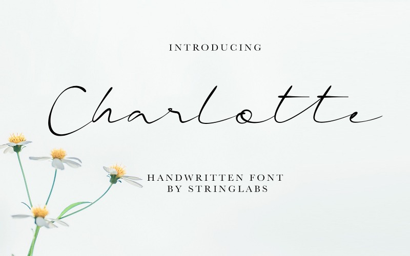 Charlotte - neformální ručně psané písmo