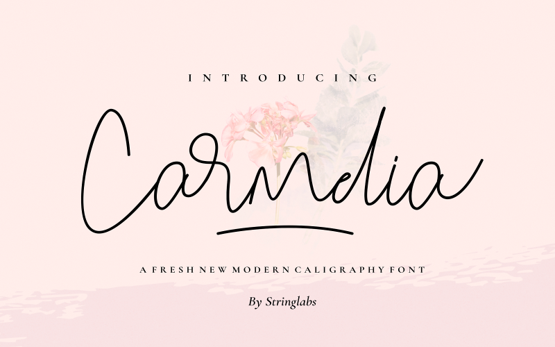 Carmelia - Fuente de caligrafía moderna