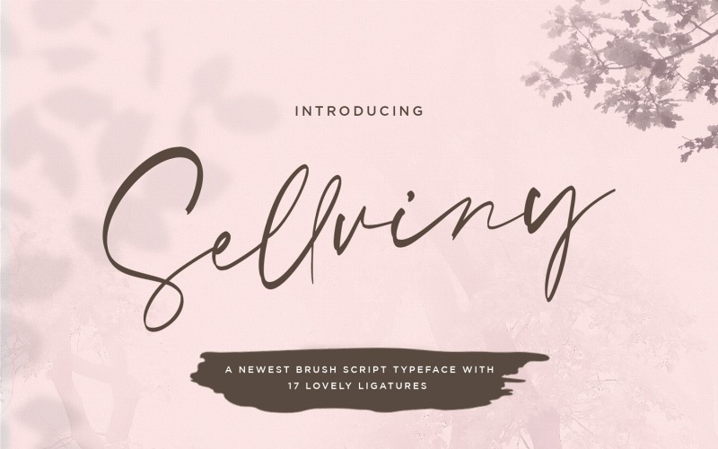 Download Шрифт "Sellviny - Handwritten Font" / Sellviny - Handwritten Font - Шрифт на тему графика calligraphy,handlettering,handwritten,logotype,signature,luxury,modern,feminime,classy,stylish,casual,handdrawn,elegant,ligature,whimsical