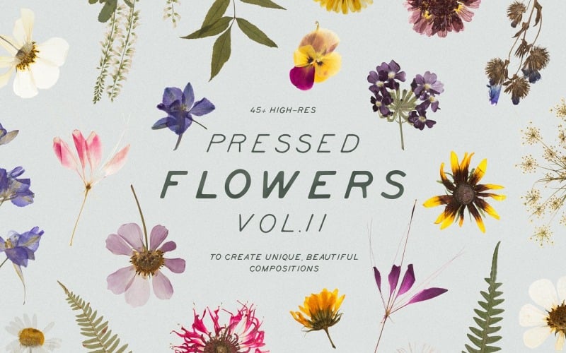 Maquette de produit Pressed Dry Flowers & Herbs Vol.2