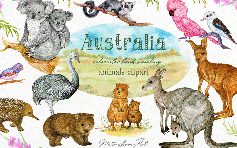Download Иллюстрация "Animals Australia Watercolor - Illustration" / Animals Australia Watercolor - Illustration - Иллюстрация на тему графика animals,characters,australia,clipart,watercolor,cockatoo,red,kangaroo,bundle,australian-animal,wombat,dingo,echidna,sugar,possum,emu,nambat,flowers,png,animal