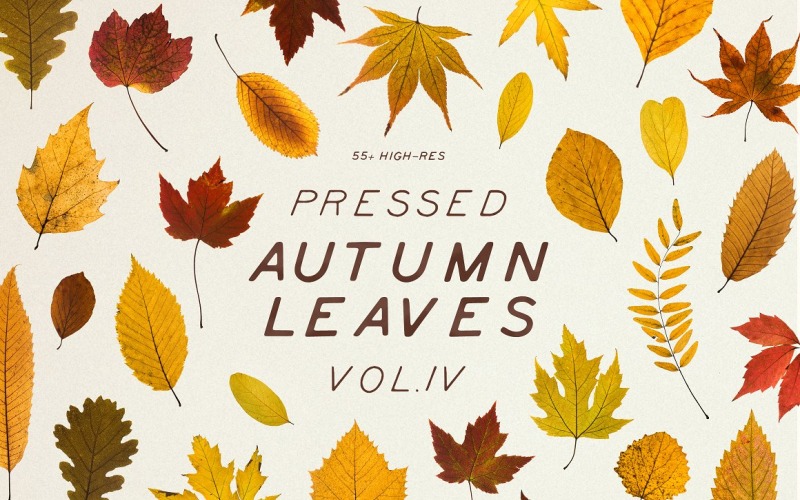 Mockup del prodotto Pressed Autumn Leaves Vol.4