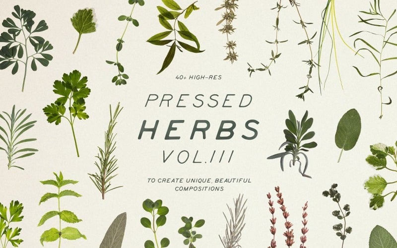 Mockup del prodotto Pressed Dry Herbs Vol.3