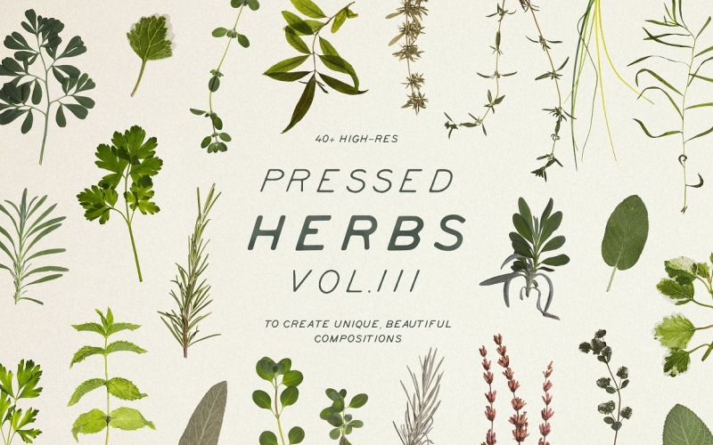 Pressed Dry Herbs Vol.3 Produktmodell