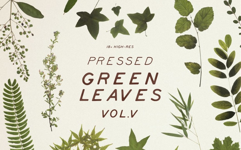Mockup del prodotto Pressed Green Leaves VOL.5