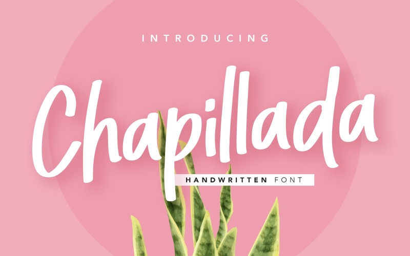Download Шрифт "Chapillada Display Font" / Chapillada Display Font - Шрифт на тему графика soft,bold,playful,botanical,nature,coffee,party,sale,promo,font,display,logo,handwritten