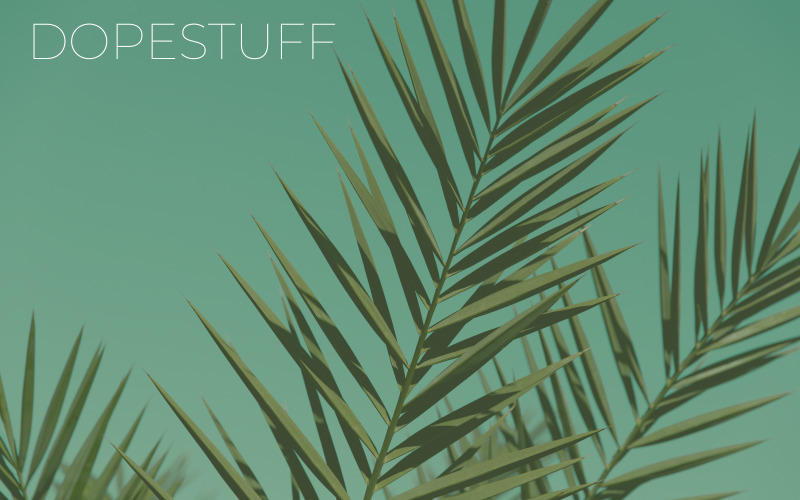 Soğutulmuş - Ses Parçası