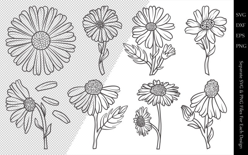 Download Иллюстрация "Daisy Flower Outline Bundle Drawings - Illustration" / Daisy Flower Outline Bundle Drawings - Illustration - Иллюстрация на тему графика daisy,flower,floral,leaves,plant,design,svg,dxf,eps,png,clipart,cricut,cut,file,line,drawing,sketch,wreath,botanical,illustration