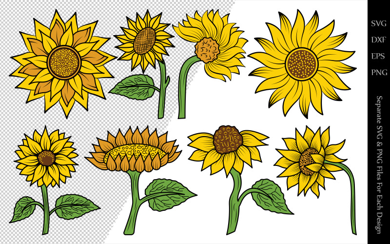 Download Иллюстрация "Sunflower Clipart Bundle Drawings - Illustration" / Sunflower Clipart Bundle Drawings - Illustration - Иллюстрация на тему графика sunflower,flower,floral,leaves,plant,design,svg,dxf,eps,png,clipart,cricut,cut,file,line,drawing,sketch,wreath,botanical,illustration