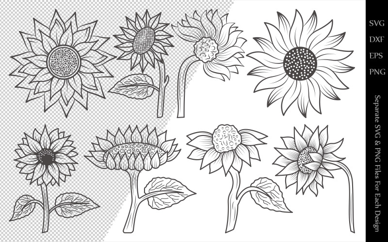 Download Иллюстрация "Sunflower Outline Bundle Drawings - Illustration" / Sunflower Outline Bundle Drawings - Illustration - Иллюстрация на тему графика sunflower,flower,floral,leaves,plant,design,svg,dxf,eps,png,clipart,cricut,cut,file,line,drawing,sketch,wreath,botanical,illustration