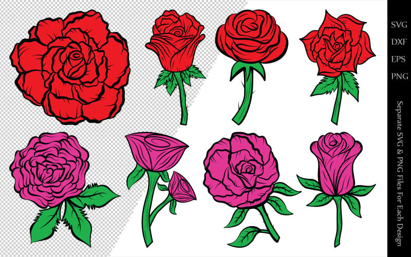 Rose Flower Clipart Bundle Drawings Illustration